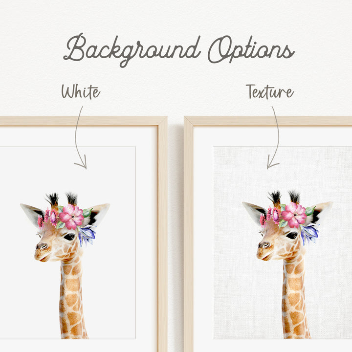 a giraffe with a floral headpiece, and there are two framed pictures of the giraffe with different backgrounds.
