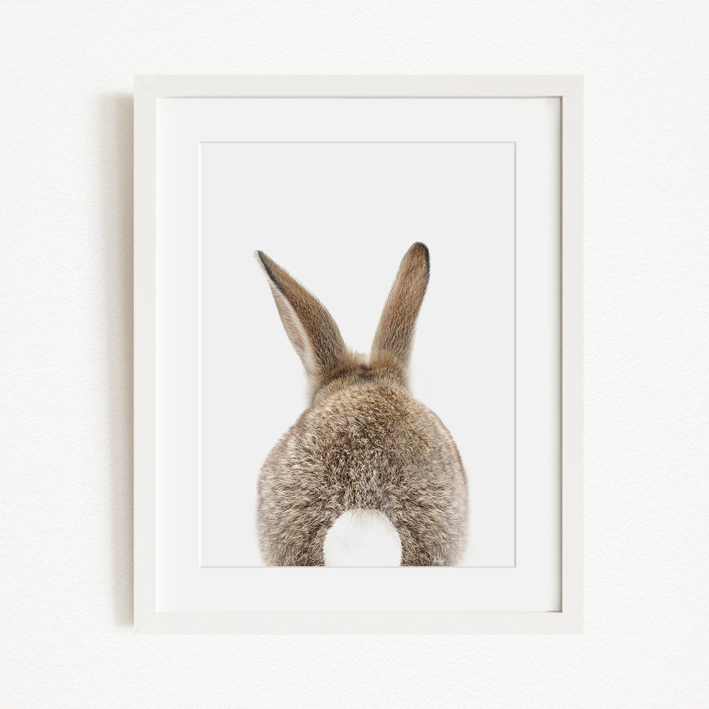 A framed image of a rabbit's back, showing its fluffy tail and long ears.