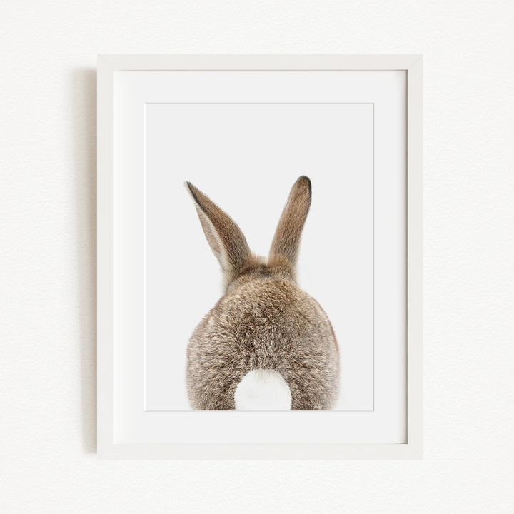 A framed image of a rabbit's back, showing its fluffy tail and long ears.