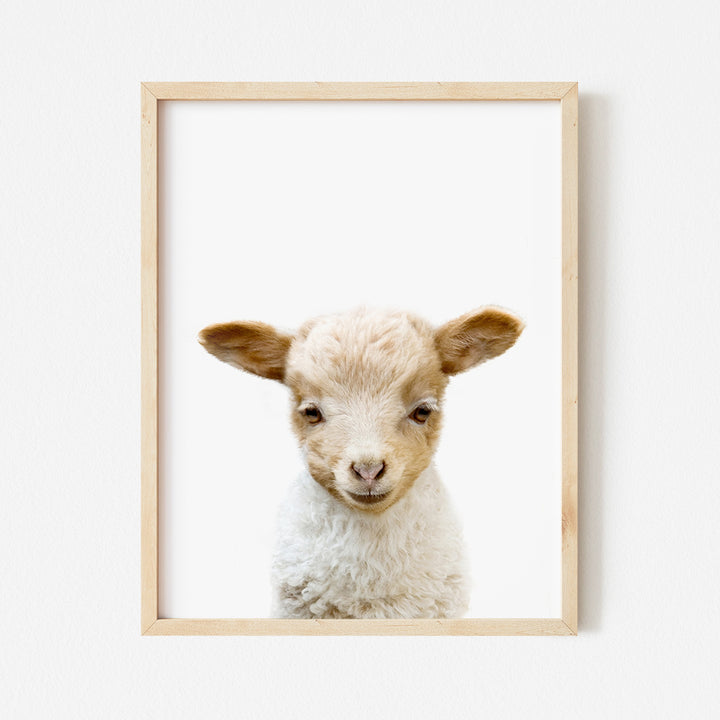 a picture of a baby lamb in a wooden frame