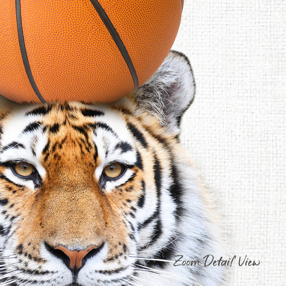 A close-up of a tiger's face with a basketball resting on its head.