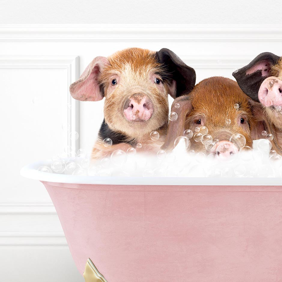 Three Little Pigs in Stencil Tile with Pink Bathtub Bath