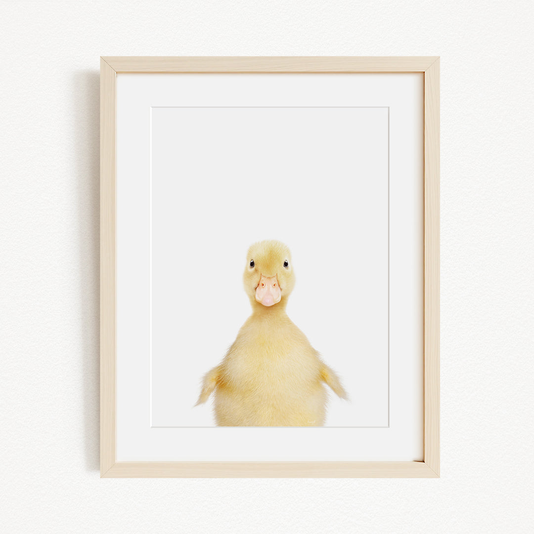 A cute yellow duck with a pink beak is the main subject of the framed print, which is displayed on a white wall.