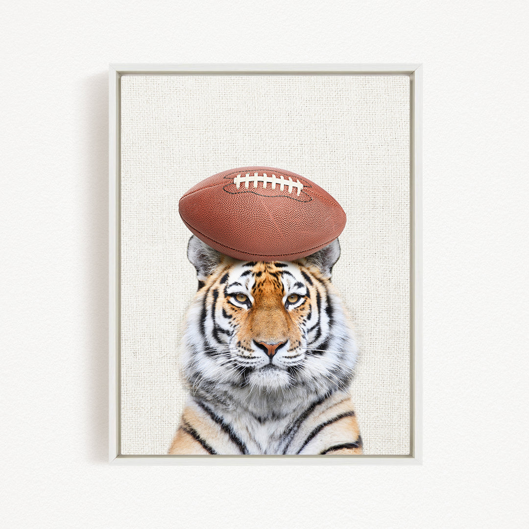 A tiger with a football on its head, looking directly at the camera.