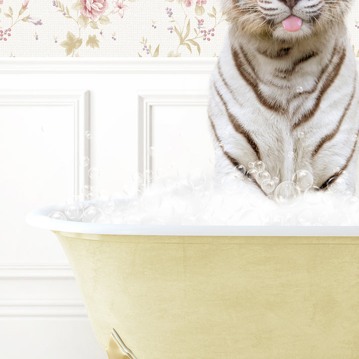 a tiger sitting in a bathtub with its tongue hanging out