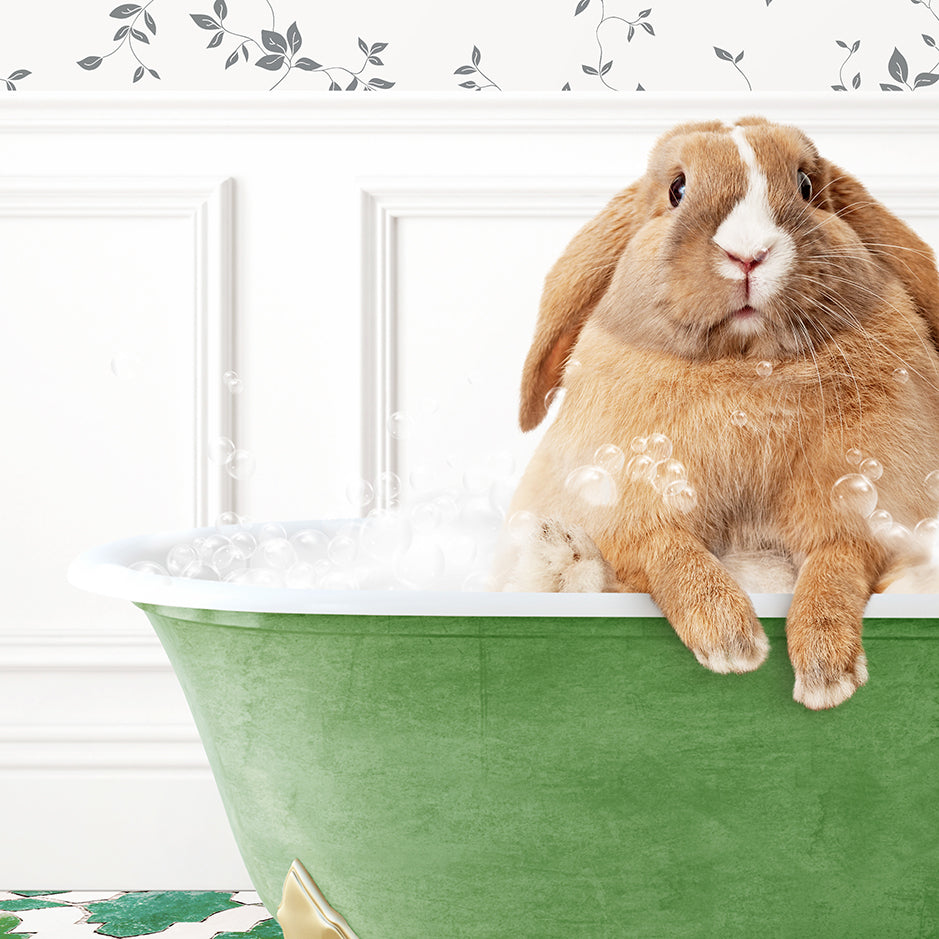 a rabbit sitting in a bathtub full of bubbles