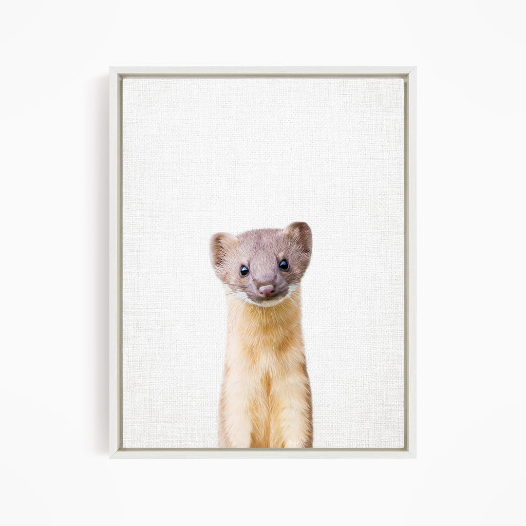 A cute beige and brown ferret peeking out from behind a white background.