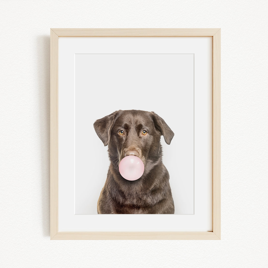 A brown dog is blowing a bubble with a pink bubble gum bubble.
