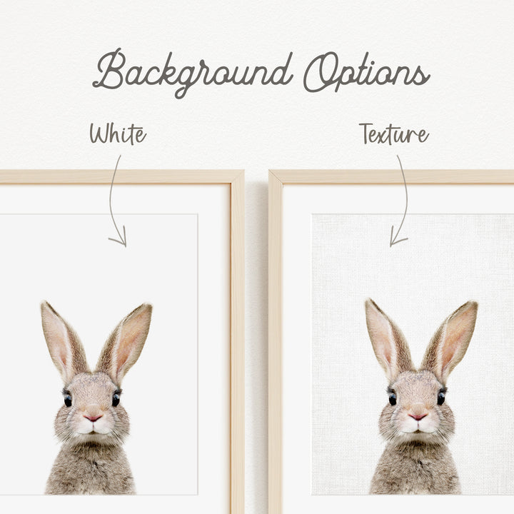 a close-up of a rabbit's face, with two framed pictures side by side. The text above the images indicates that there are two different backgrounds available, with one being white and the other being a different texture.