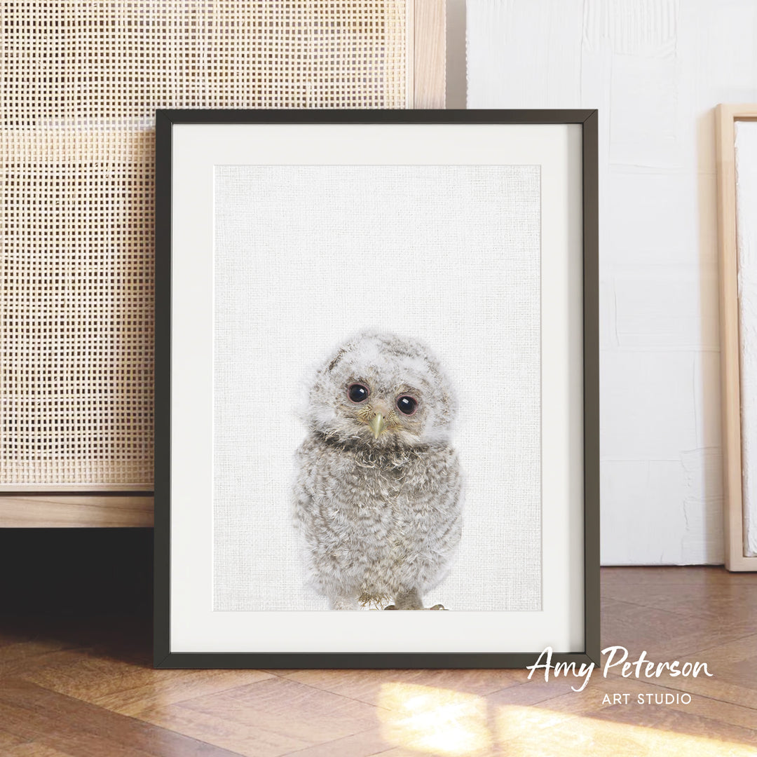 A framed photograph of a baby owl is displayed on a wooden floor, with a beige woven basket visible in the background.