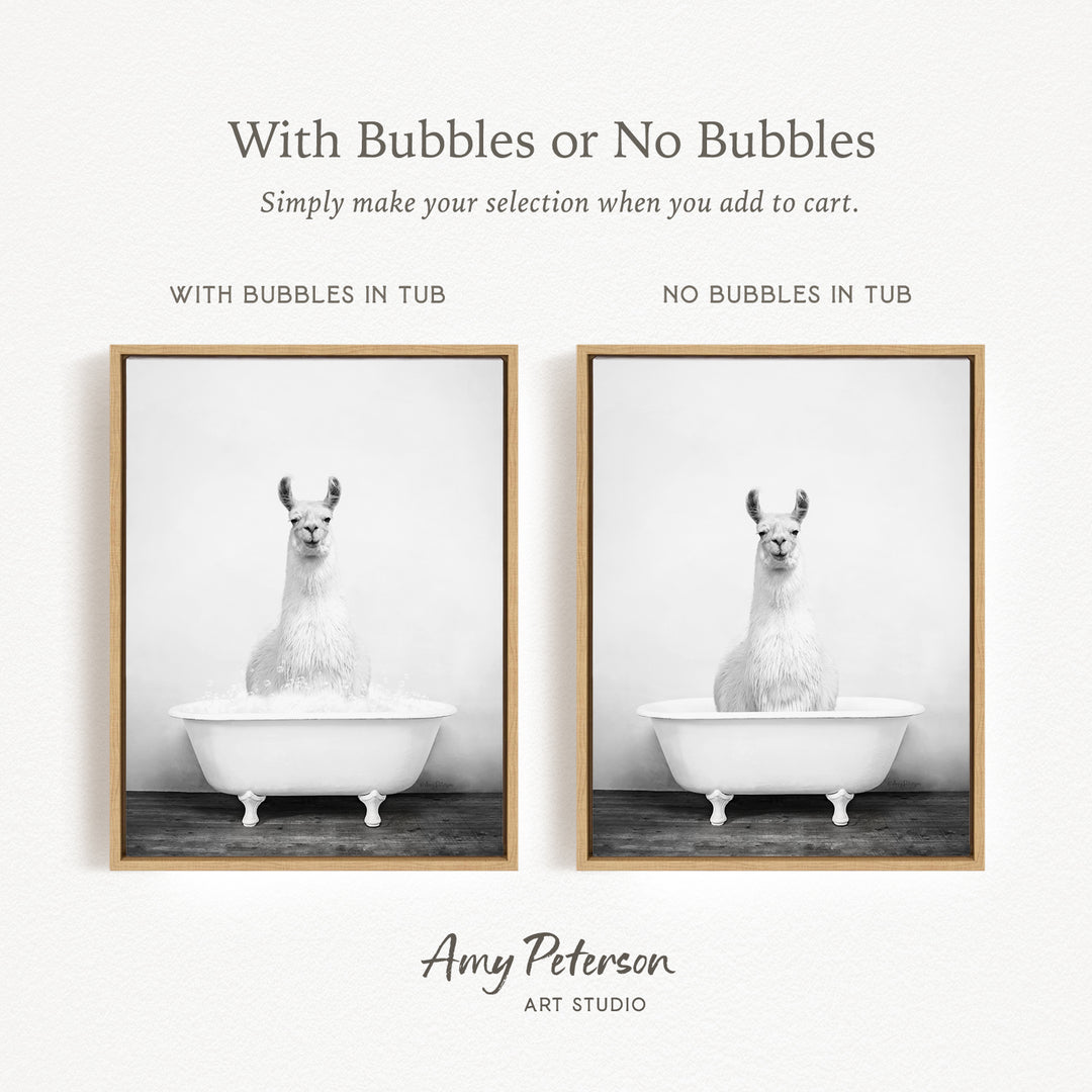 The image is a black and white photo of a llama sitting in a bathtub, with the text "With Bubbles or No Bubbles" above the images.