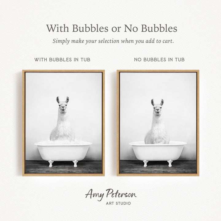The image is a black and white photo of a llama sitting in a bathtub, with the text "With Bubbles or No Bubbles" above the images.