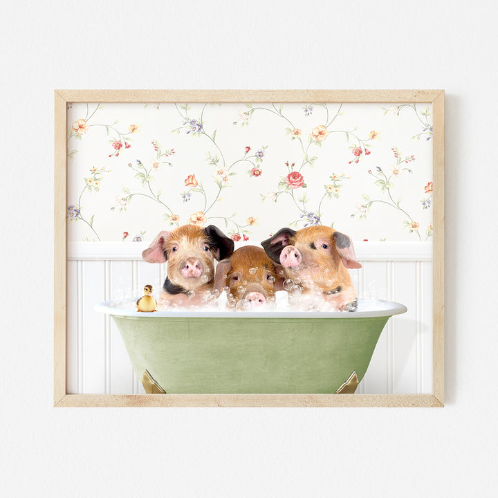 a group of three pigs in a bathtub