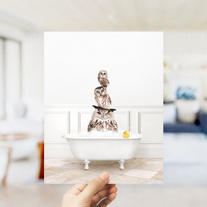 A hand holds up a framed image showing a group of owls sitting in a bathtub, with one owl sitting on top of the others.