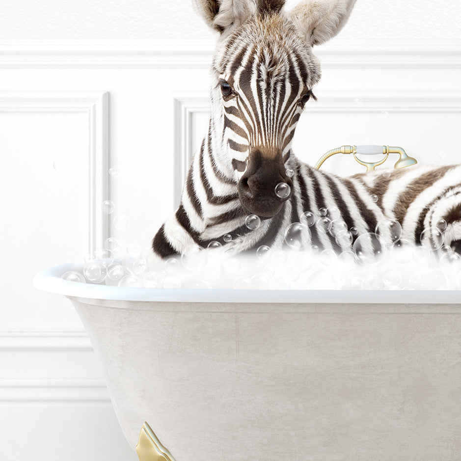 a baby zebra laying in a bath tub