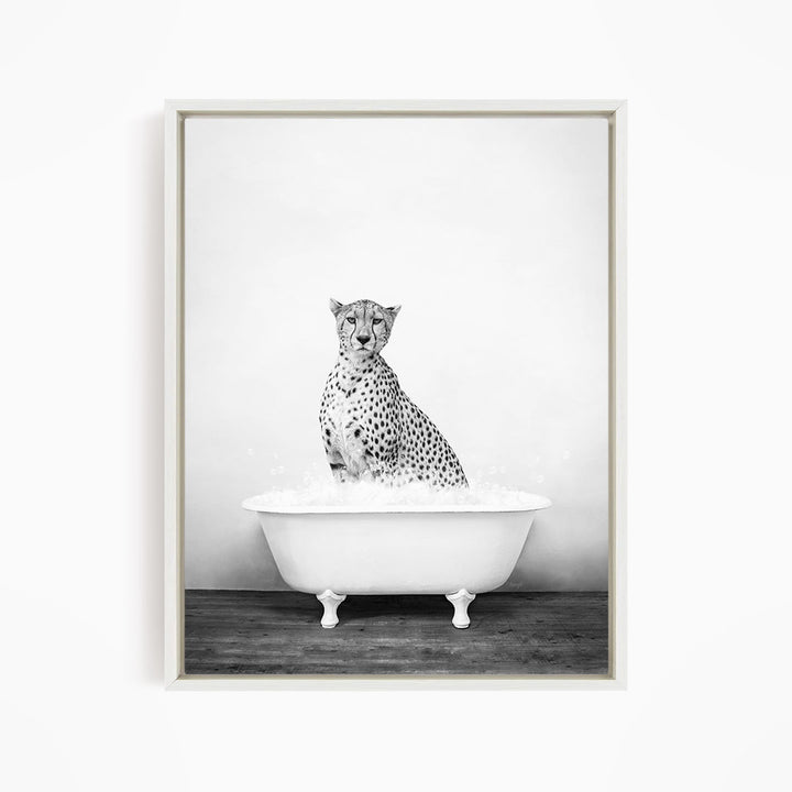 A cheetah sitting in a white bathtub filled with water.