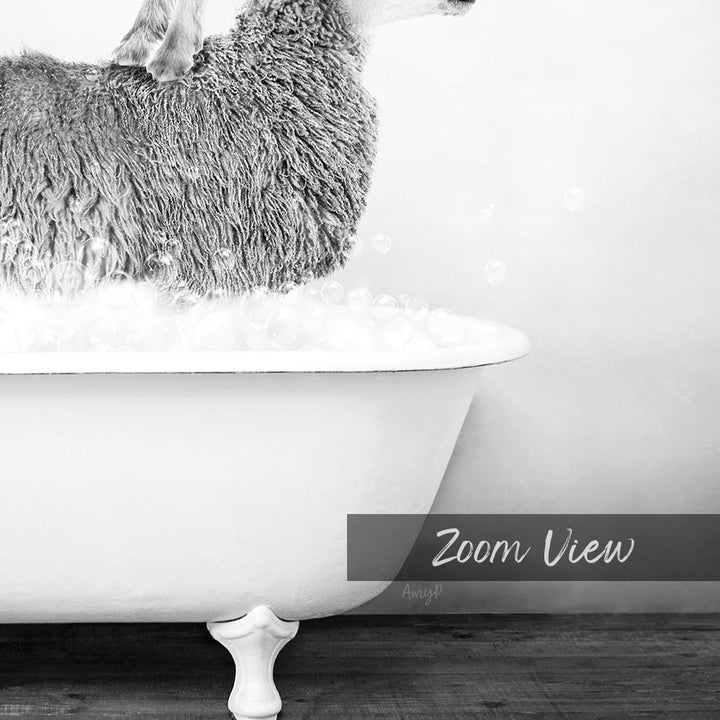 A fluffy gray cat sitting in a white bathtub filled with bubbles, with the text "Zoom View" below the image.