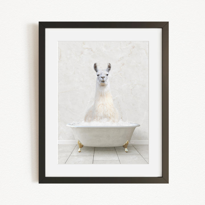 A white llama sitting in a white bathtub filled with bubbles, creating a whimsical and playful scene.