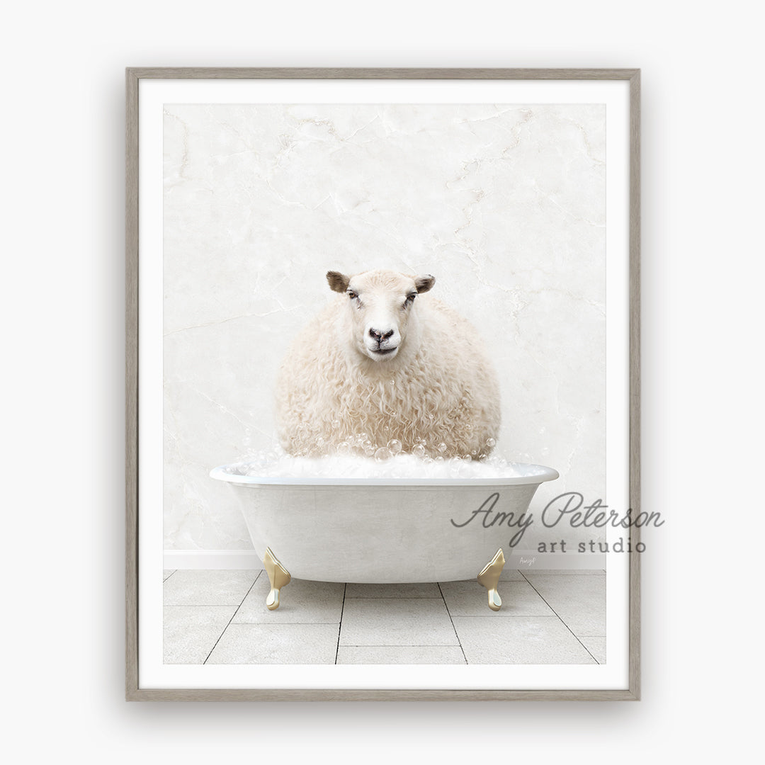 a sheep sitting in a bathtub with a white wall behind it