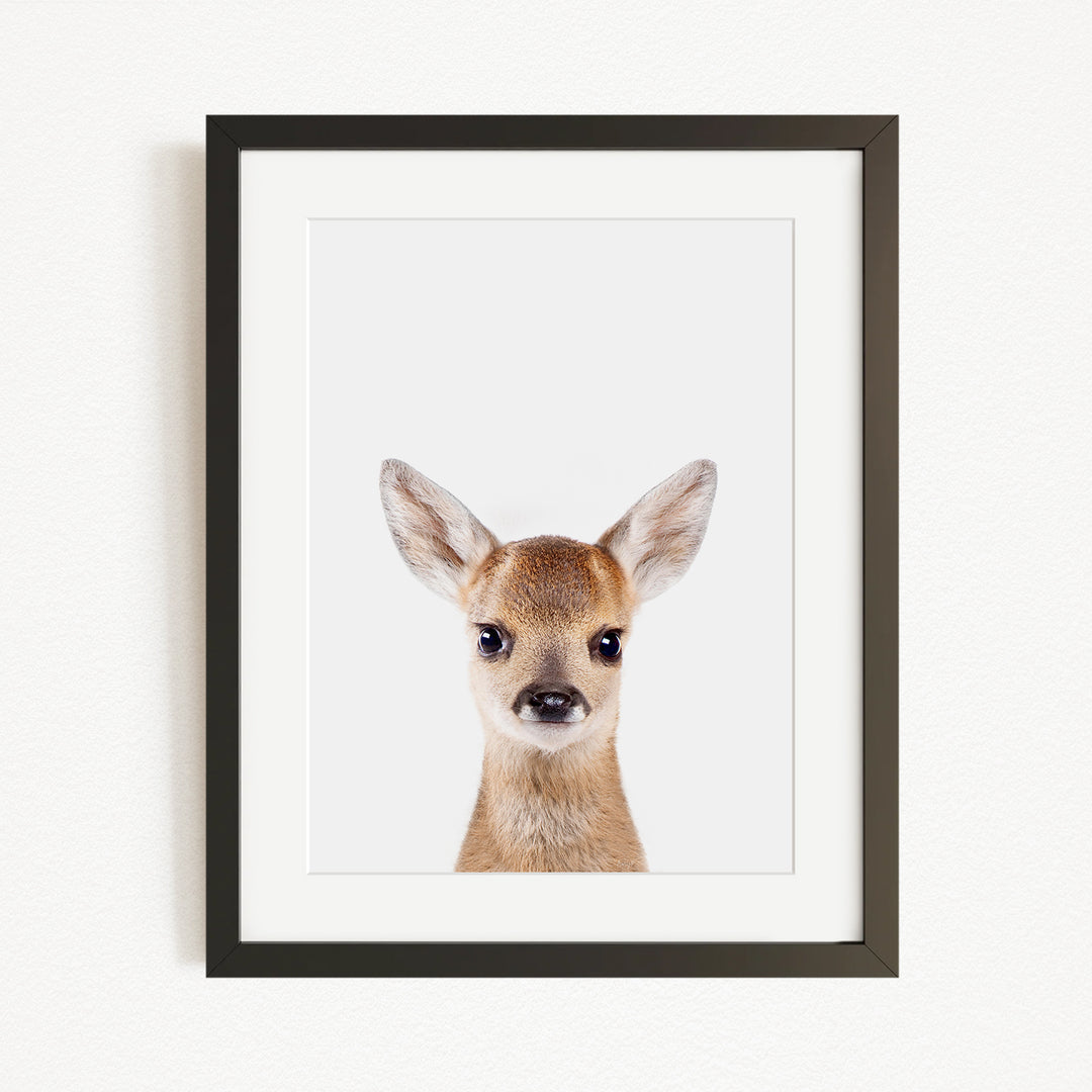 A framed photograph of a deer with large ears and a small nose, looking directly at the camera.