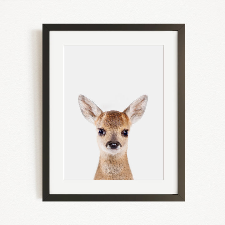 A framed photograph of a deer with large ears and a small nose, looking directly at the camera.