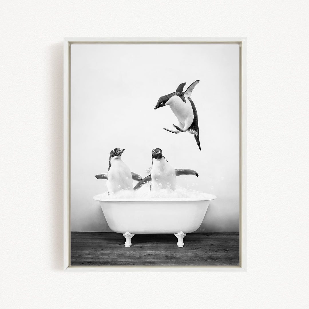 A black and white photograph of two penguins sitting in a bathtub, with one penguin flying towards the other.