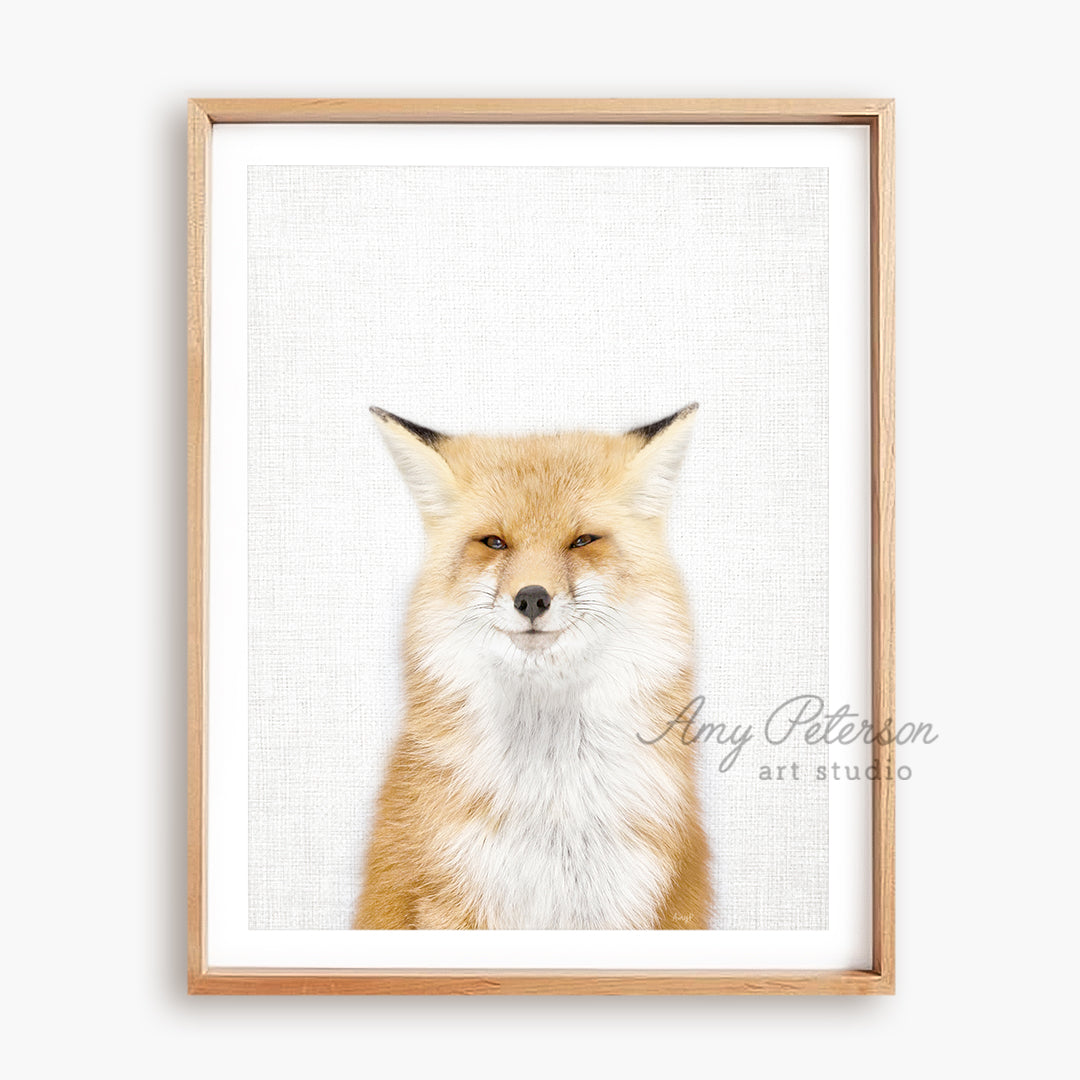 a picture of a fox with a white background