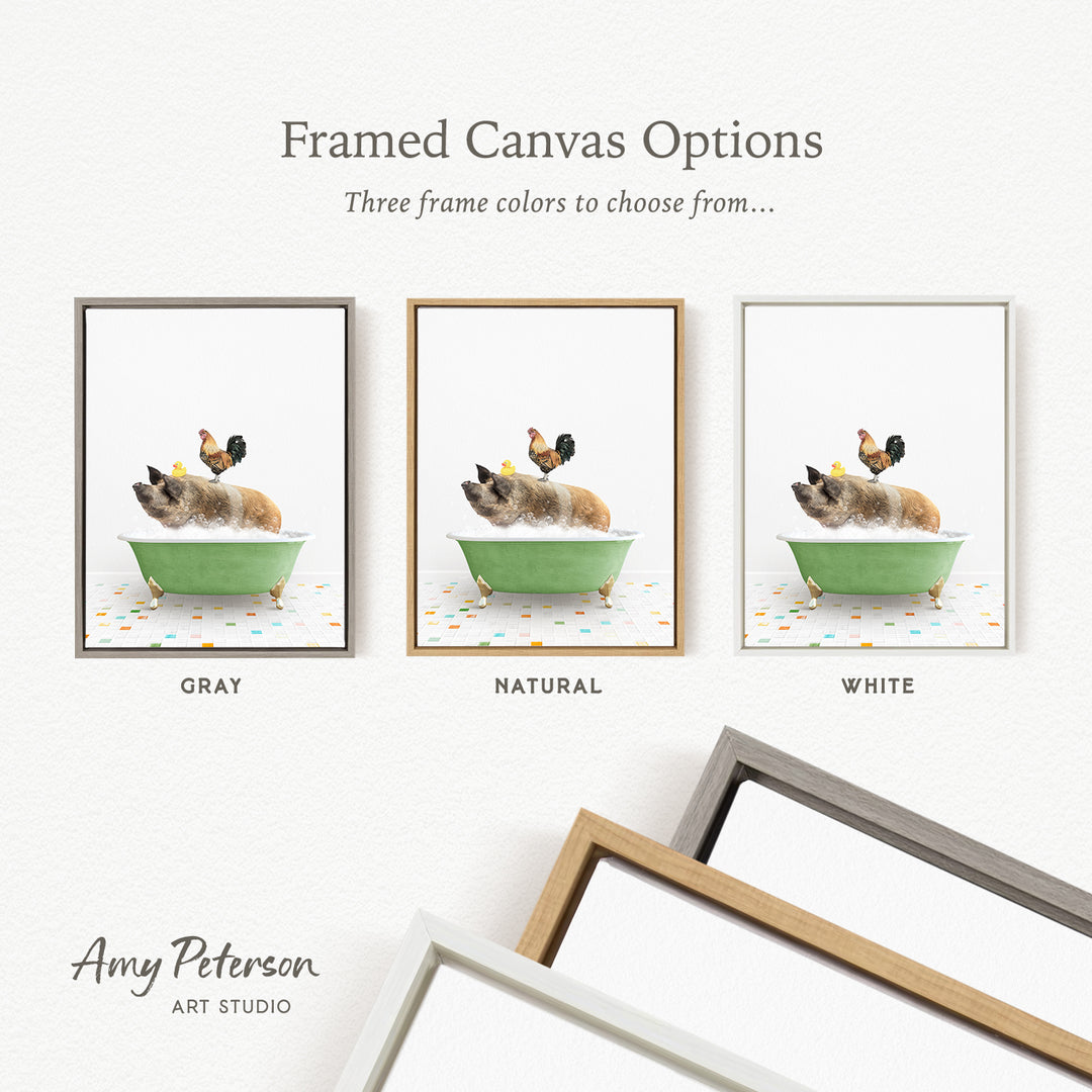 three framed canvas options, each featuring a different color: gray, natural, and white. The text above the images reads " Framed Canvas Options" and "Three frame colors to choose from...". The bottom of the image includes the text " Amy Peterson ART STUDIO".
