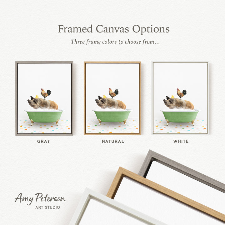 three framed canvas options, each featuring a different color: gray, natural, and white. The text above the images reads " Framed Canvas Options" and "Three frame colors to choose from...". The bottom of the image includes the text " Amy Peterson ART STUDIO".