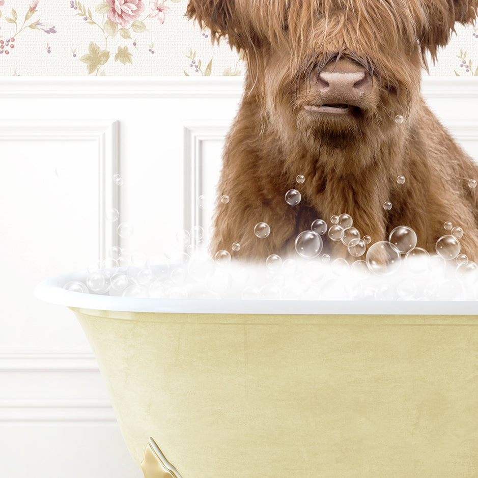 a brown dog sitting in a bathtub filled with bubbles