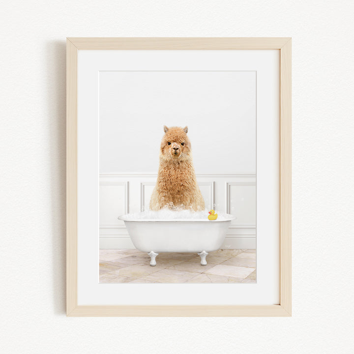 A fluffy brown alpaca sitting in a white bathtub filled with bubbles, with a yellow rubber duck floating in the water.