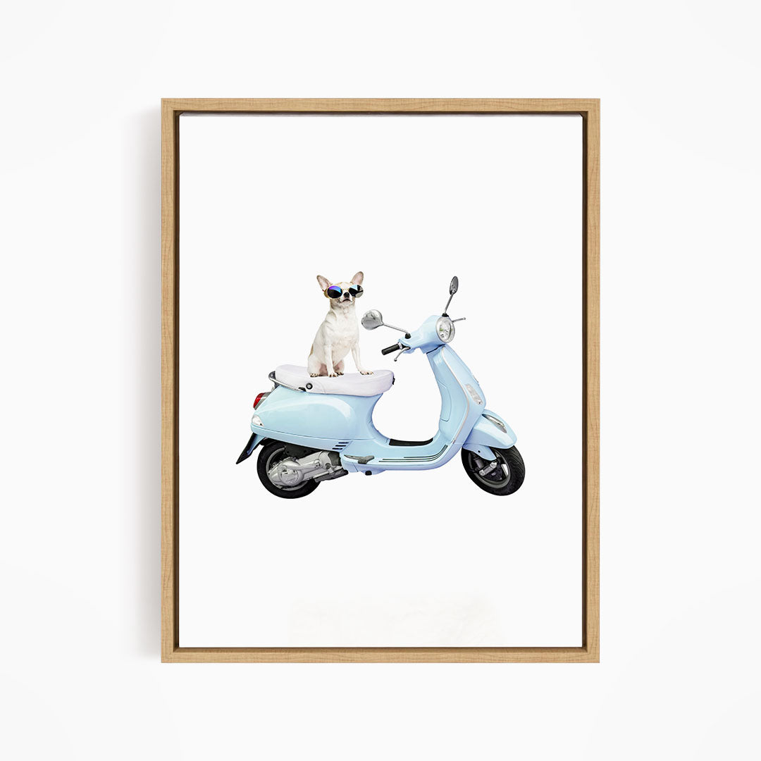A small white dog wearing sunglasses is sitting on a light blue scooter.