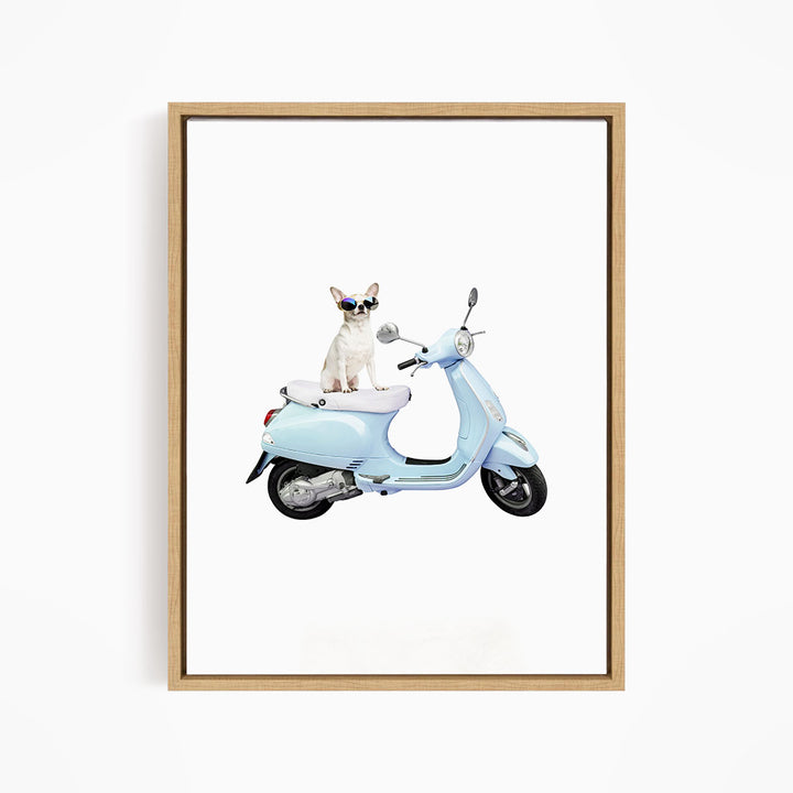 A small white dog wearing sunglasses is sitting on a light blue scooter.