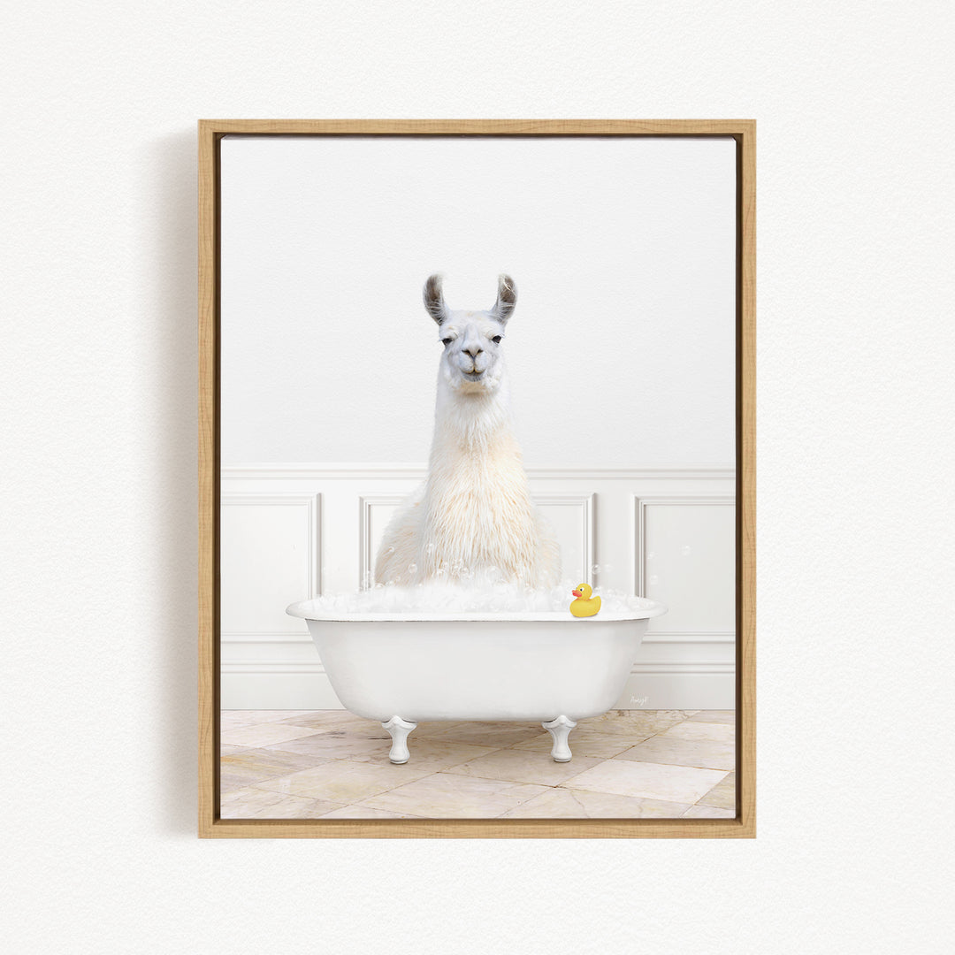 A white llama sitting in a white bathtub, with a rubber duck floating in the water.