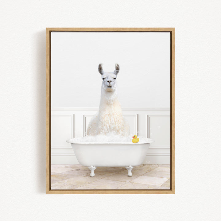 A white llama sitting in a white bathtub, with a rubber duck floating in the water.