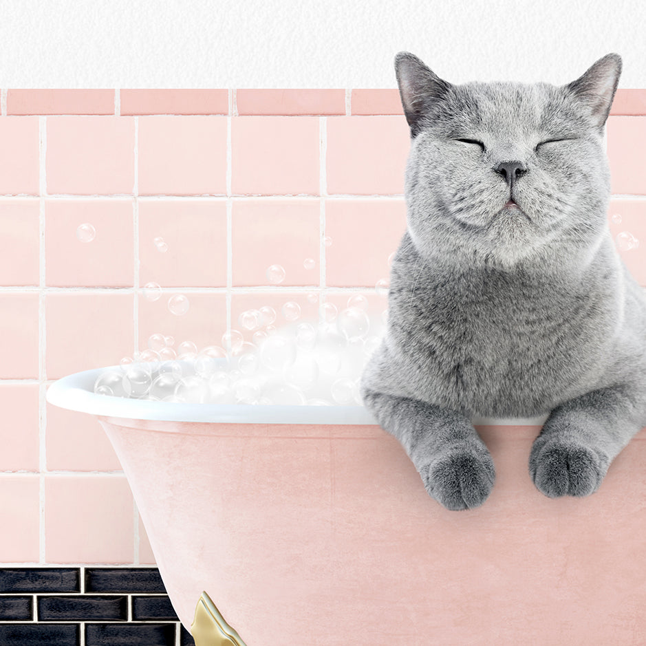 a cat sitting in a bathtub with bubbles coming out of it