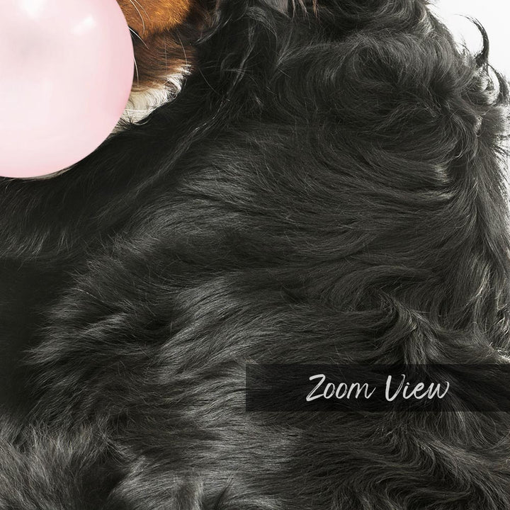 a close up of a dog with a balloon in its mouth