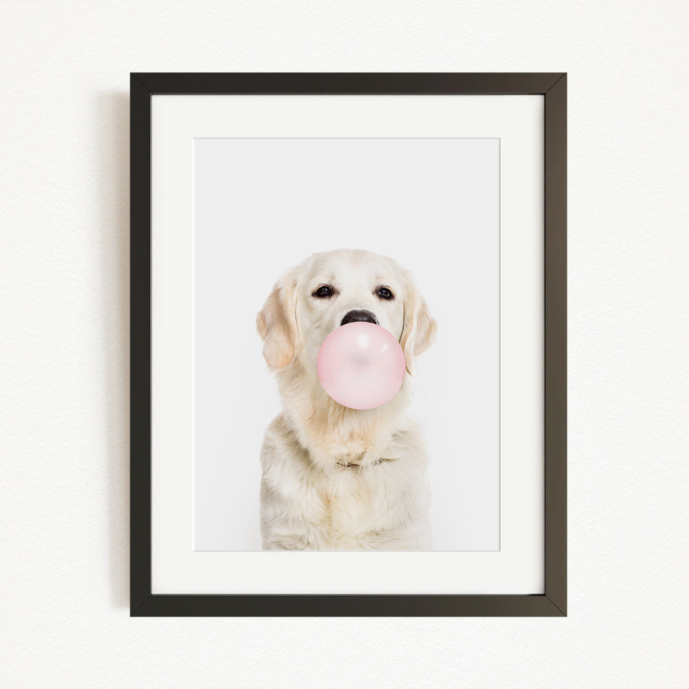 A white dog is blowing a bubble with a pink bubble gum bubble.