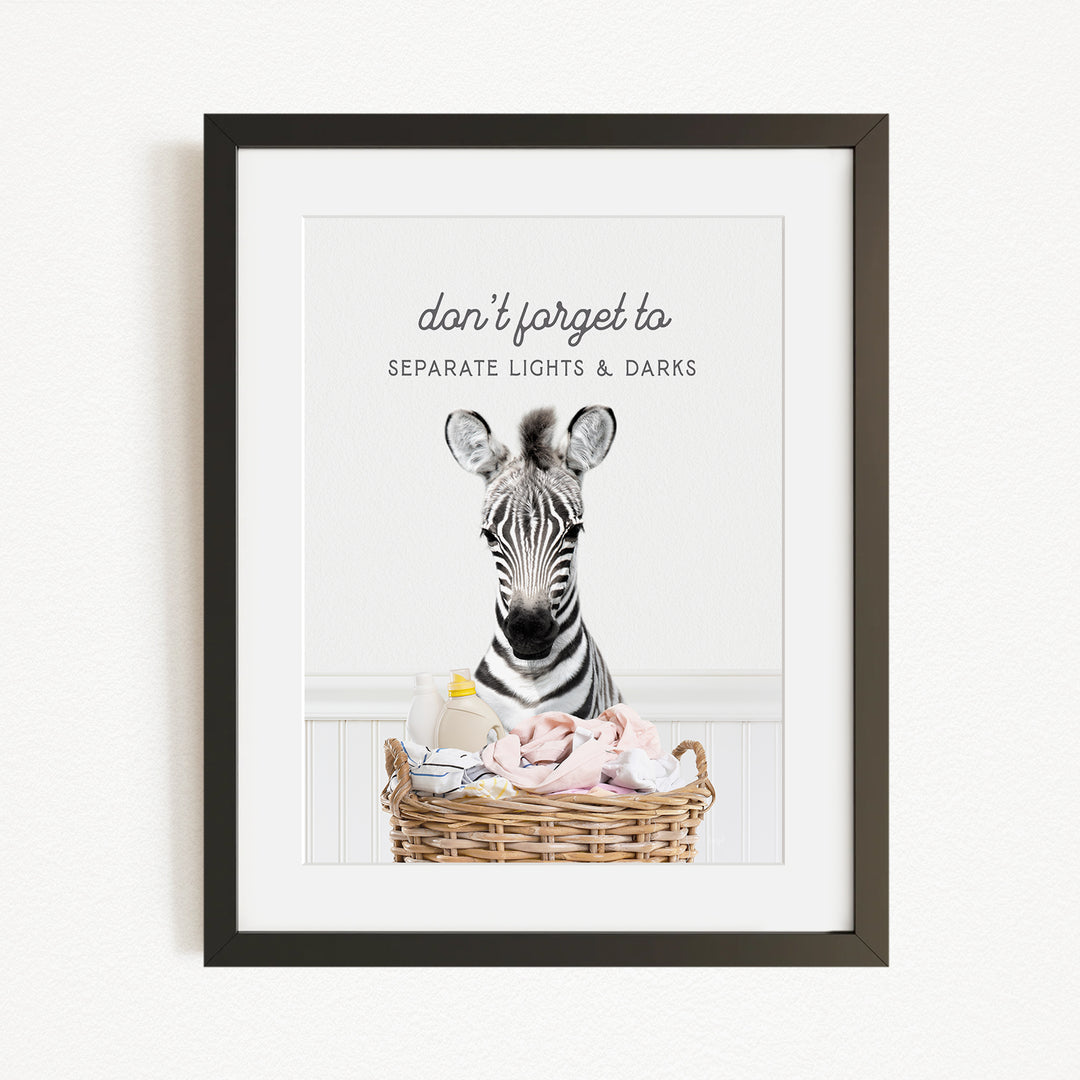 A zebra standing in a basket filled with baby items, with the text "don't forget to separate lights & darks" written above the image.