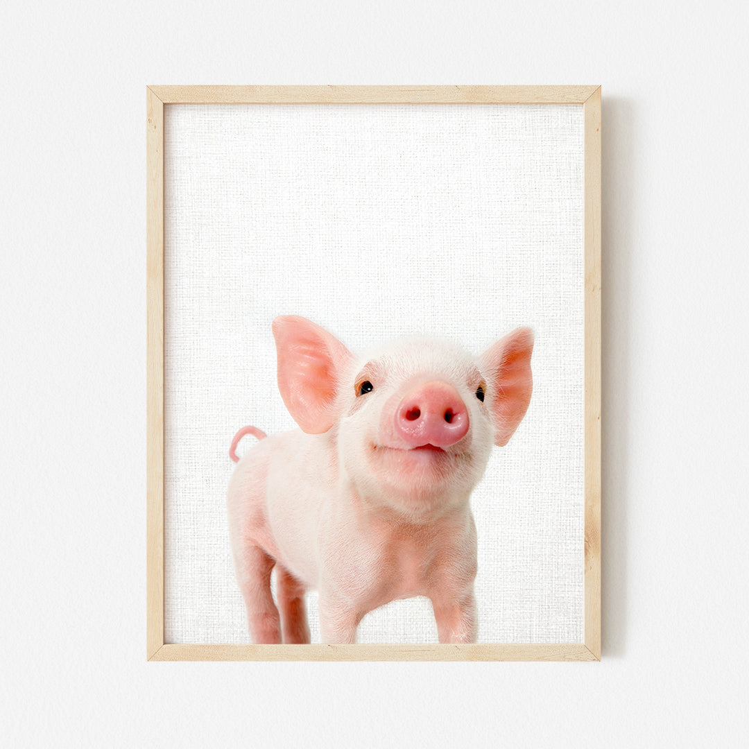 a small pink pig with a white background