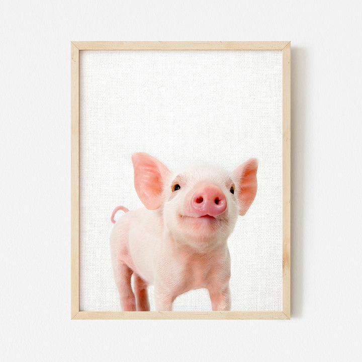 a small pink pig with a white background