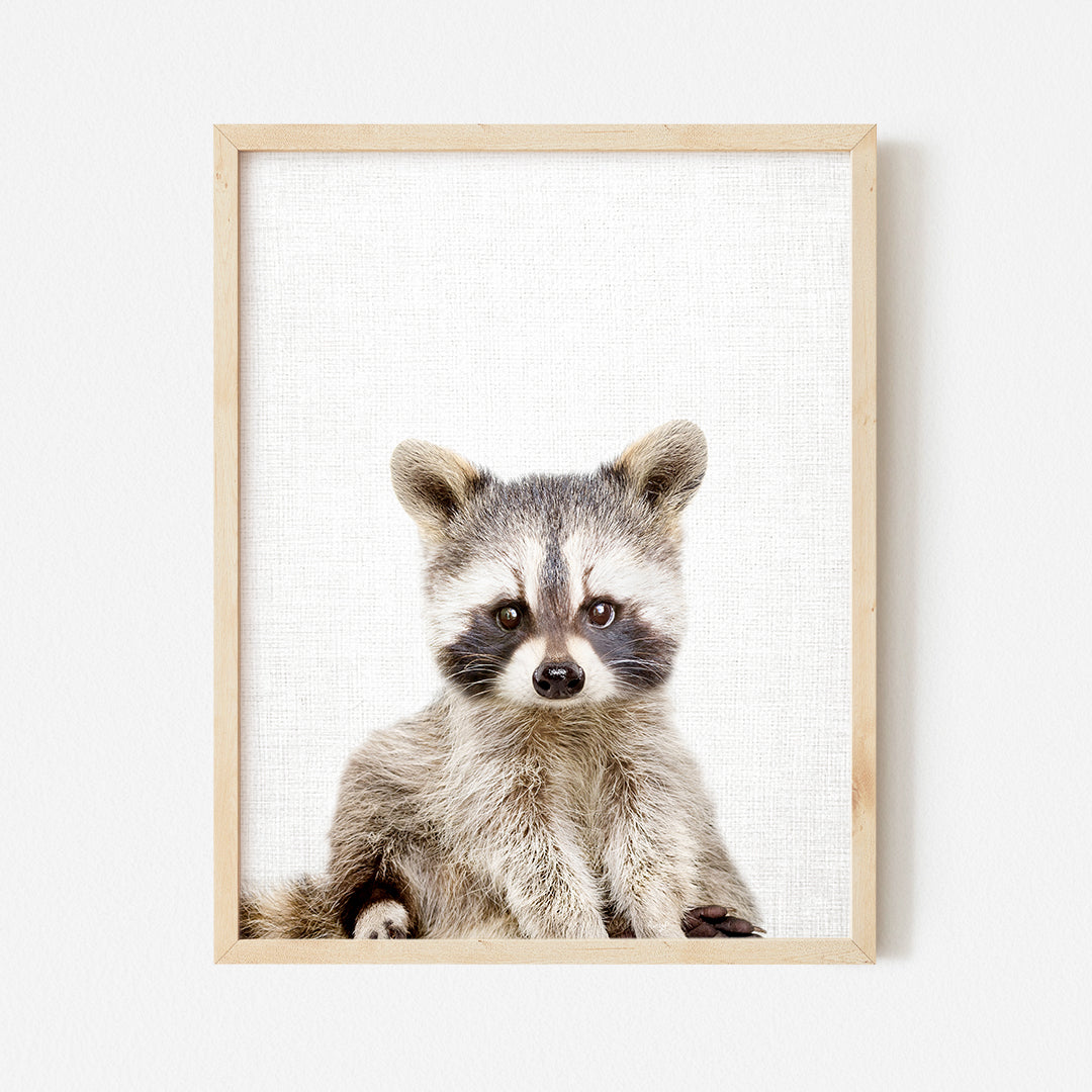 a picture of a raccoon in a wooden frame