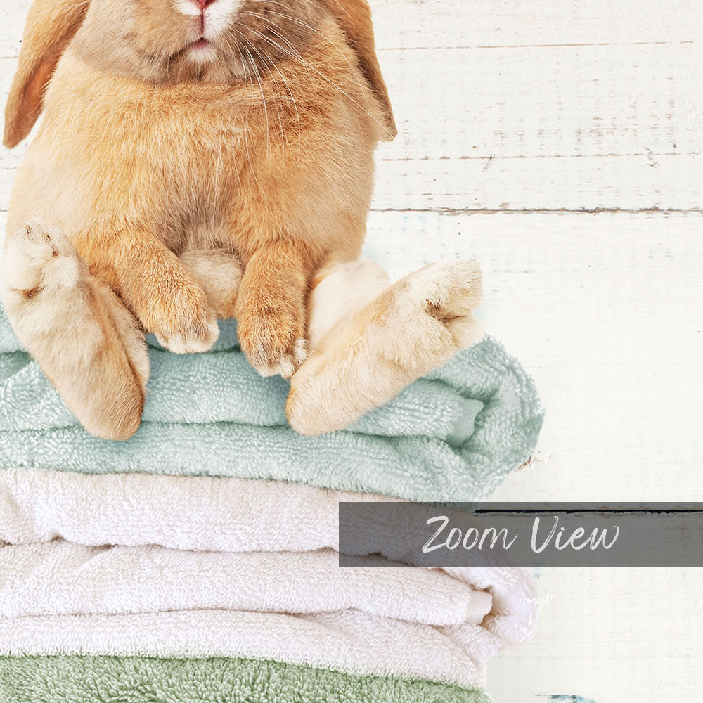 A fluffy orange rabbit sitting on a stack of light blue and white towels, with the text "Zoom View" in the bottom right corner.