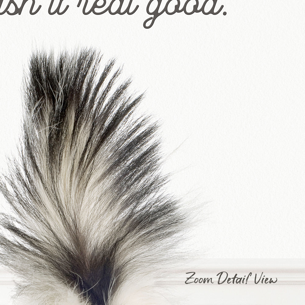 a close-up of a fluffy, black and white feather against a plain white background.