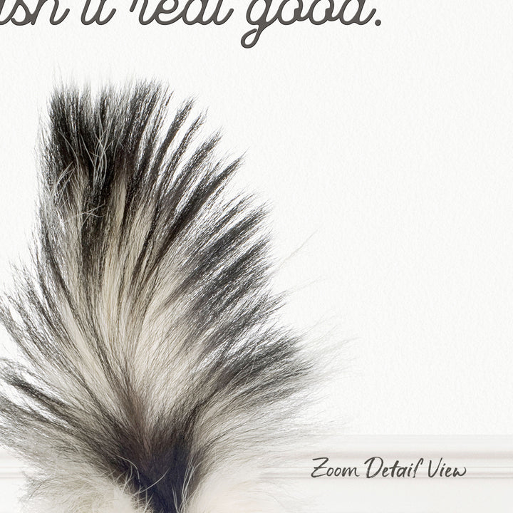 a close-up of a fluffy, black and white feather against a plain white background.