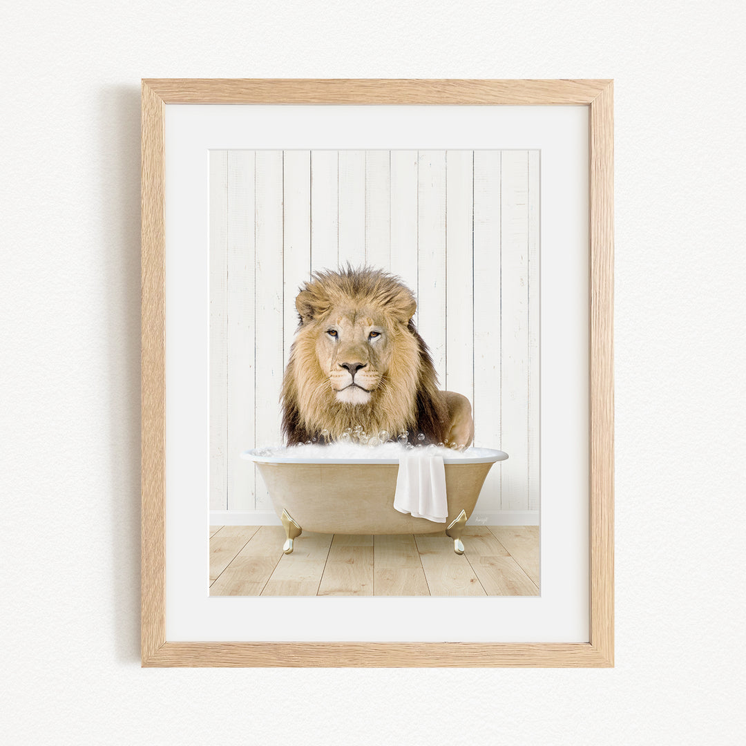 A lion sitting in a bathtub, with a towel draped over the side of the tub.