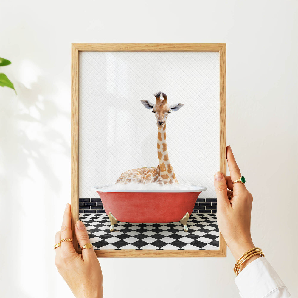 A person's hands are holding a framed picture of a giraffe sitting in a red bathtub filled with bubbles.