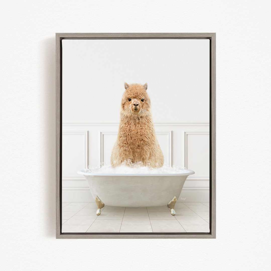 A fluffy brown alpaca sitting in a white bathtub filled with bubbles, looking directly at the camera.