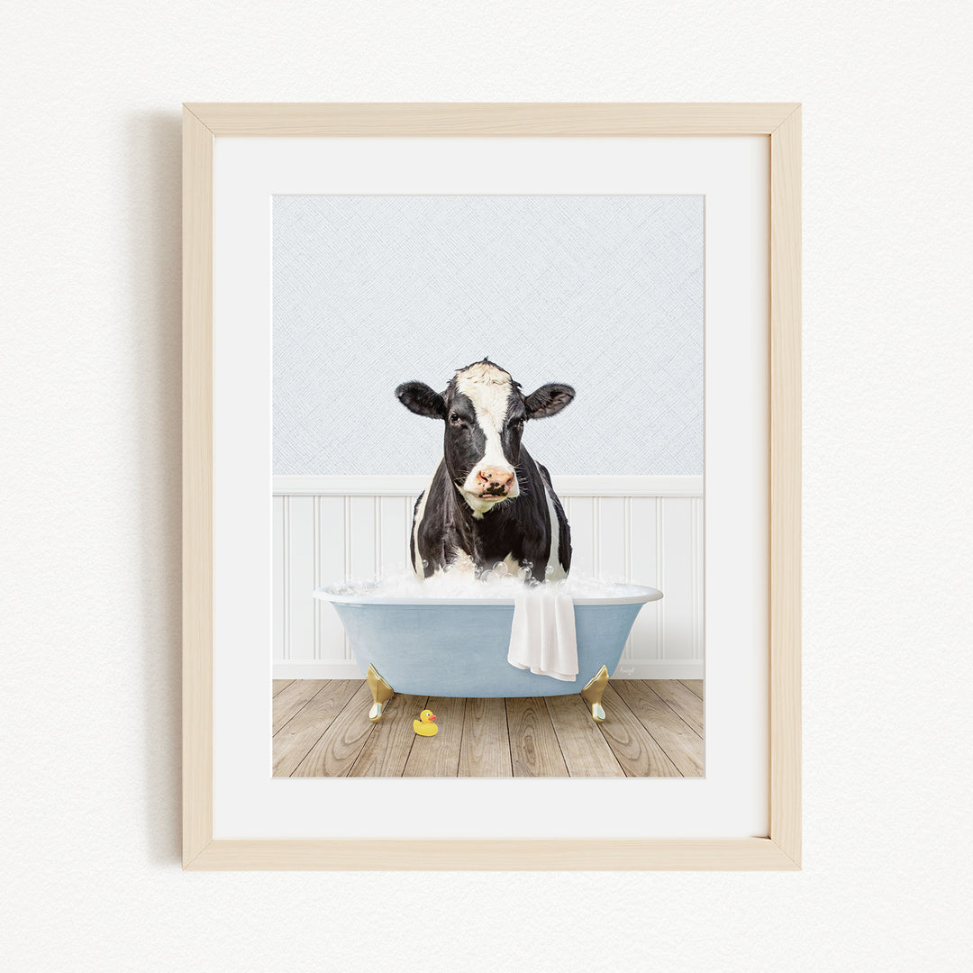A black and white cow is sitting in a blue bathtub filled with water, with a towel hanging on the side of the tub.