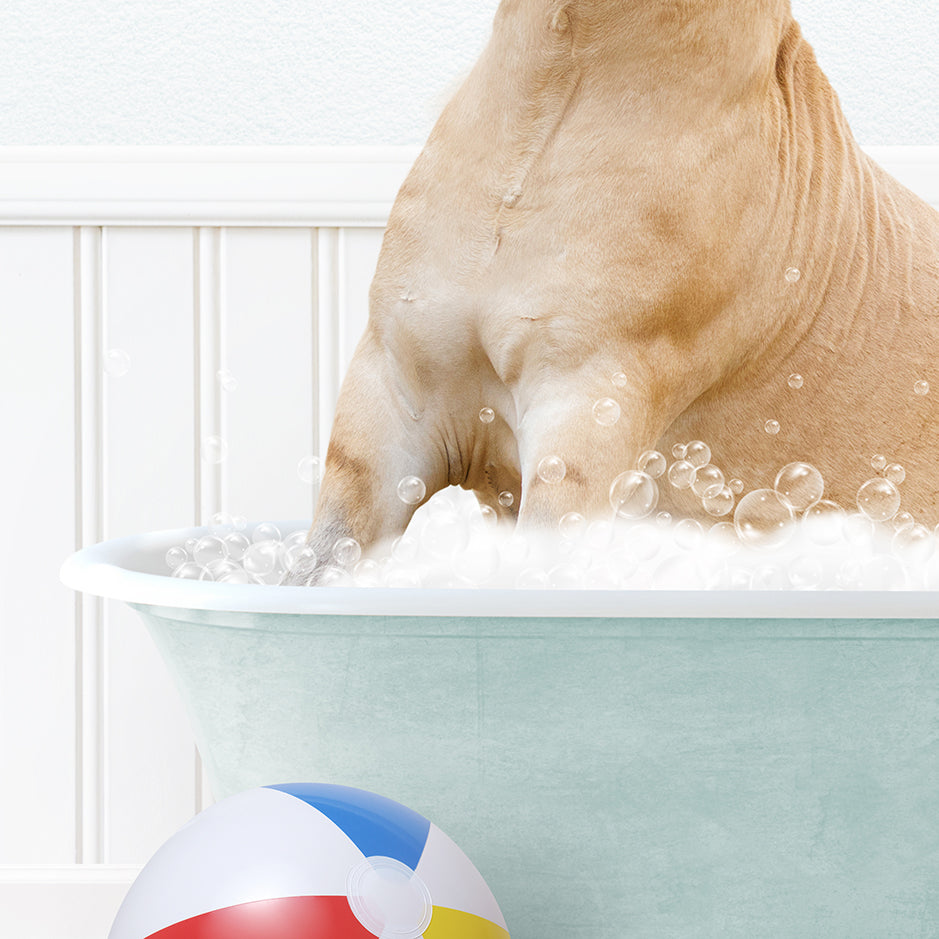 a dog in a bathtub with bubbles and a beach ball